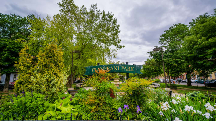 Image of Grass, Nature, Outdoors, Park, Garden, Vegetation, Tree, Arbour, Land, Woodland, Summer, Car, Herbal, Herbs, Grove, Scenery, Flower, Bench, 