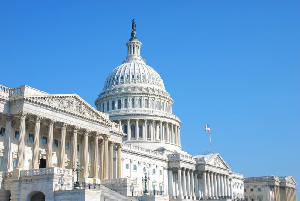 Image of Building, Landmark, Capitol Hill, Person, Flag, 