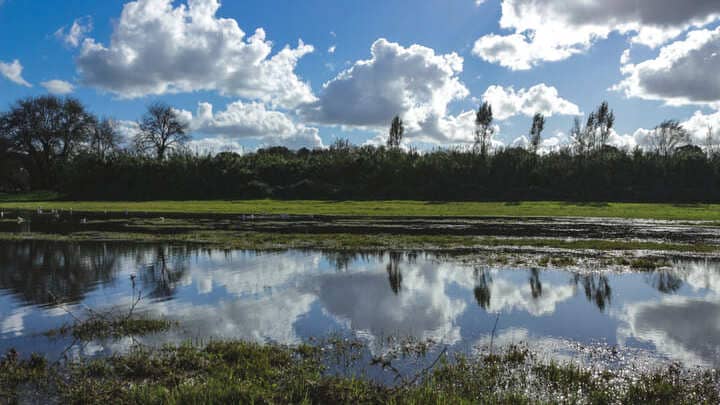 Image of Landscape, Nature, Outdoors, Scenery, Land, Panoramic, Pond, Water, Vegetation, 