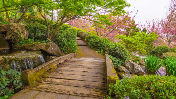 Image of Garden, Nature, Outdoors, Grass, Park, Path, Walkway, Boardwalk, Bridge, Arbour, Tree, Water, Waterfront, Trail, Vegetation, Flower, Scenery, 