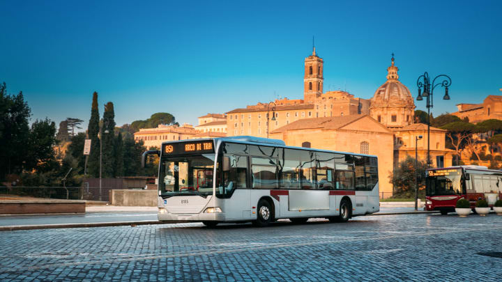 Image of Bus, Vehicle, Plant, Cityscape, Urban, Person, 