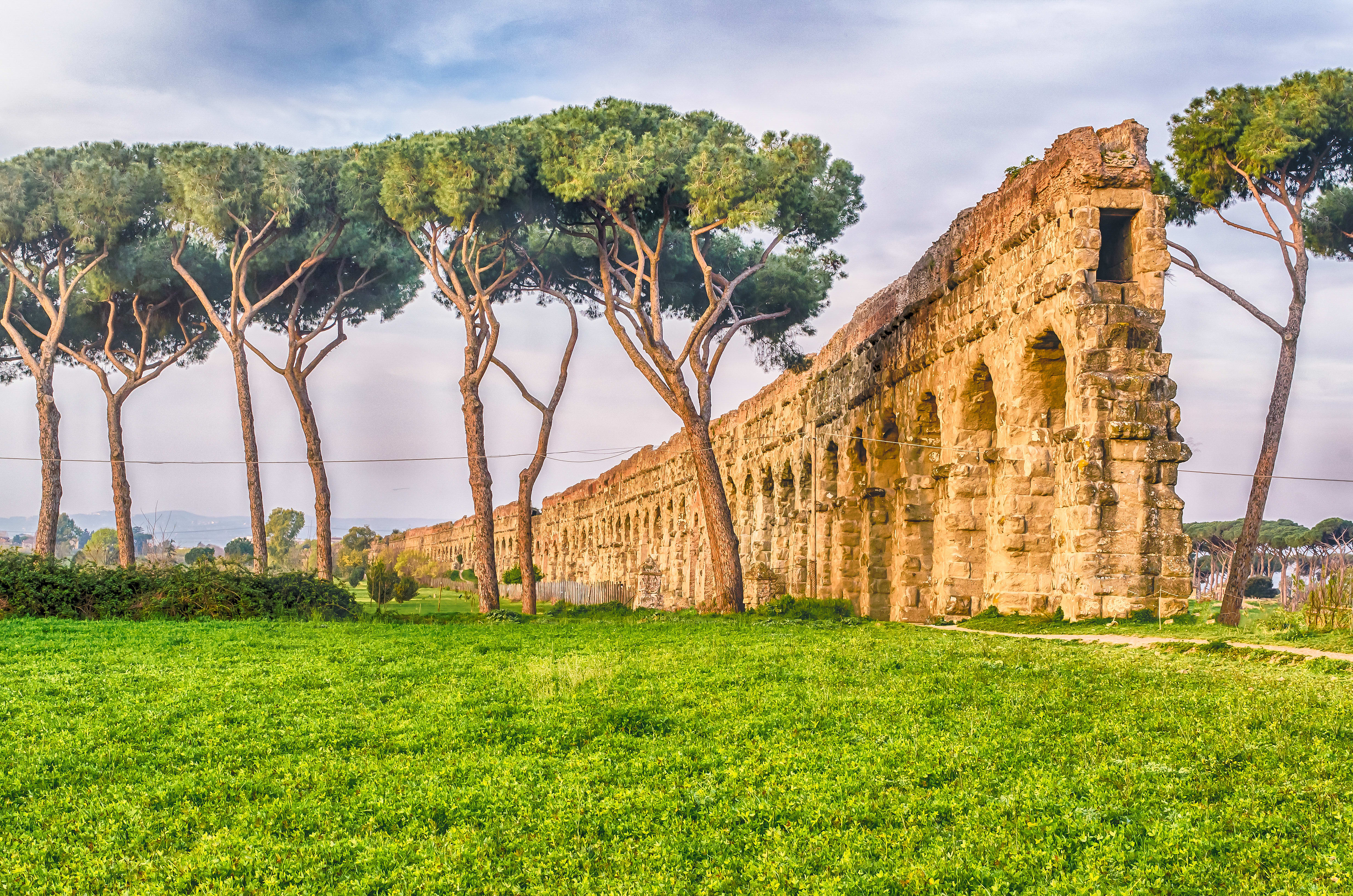 Image of Ruins, Tree, Castle, Fortress, Nature, Outdoors, Scenery, 