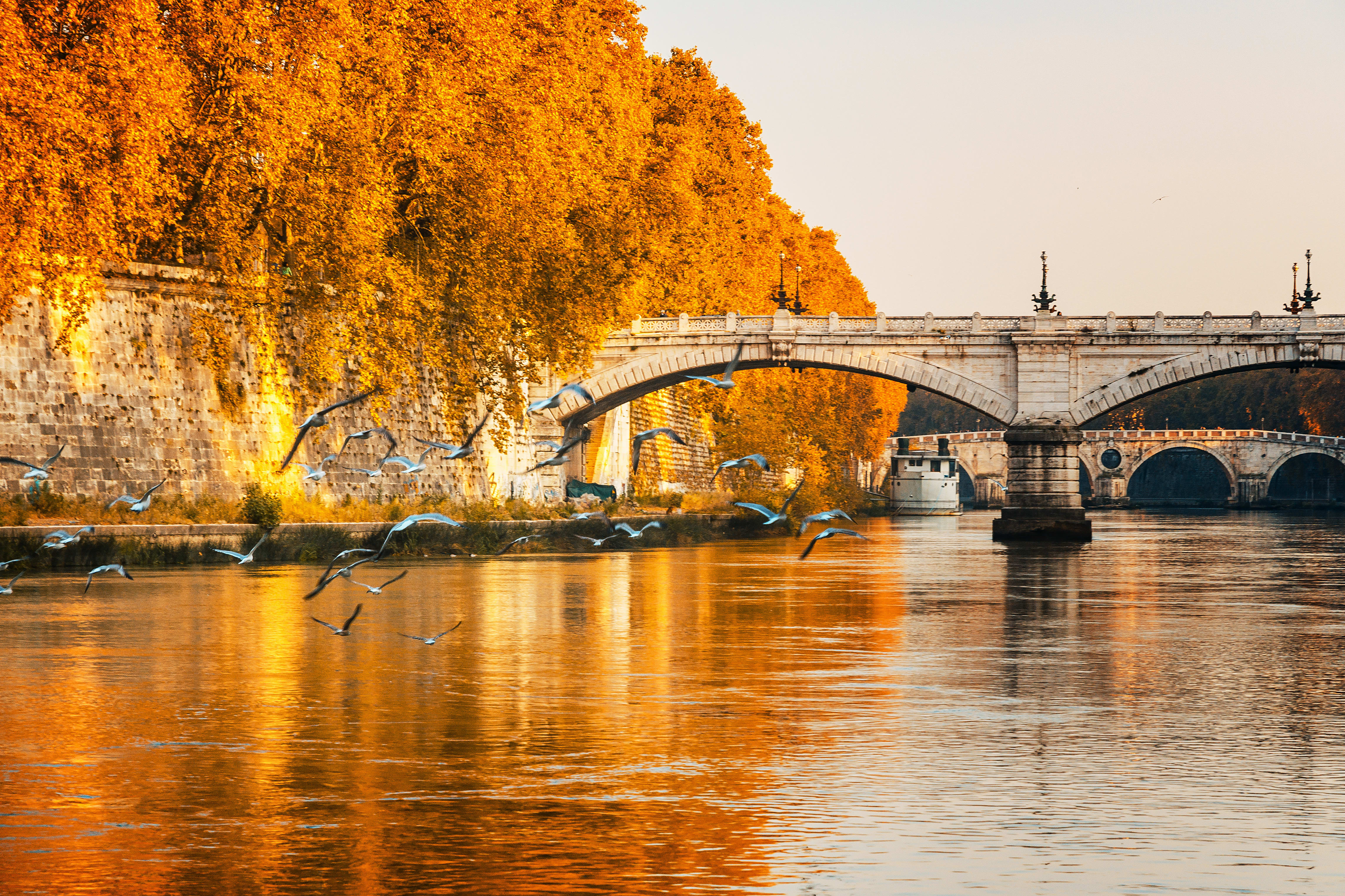 Image of Nature, Outdoors, Scenery, Arch, Bird, Autumn, Canal, Water, 