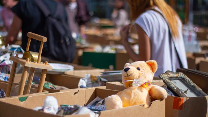 Image of Teddy Bear, Toy, Female, Girl, Person, Teen, Boy, Child, Male,