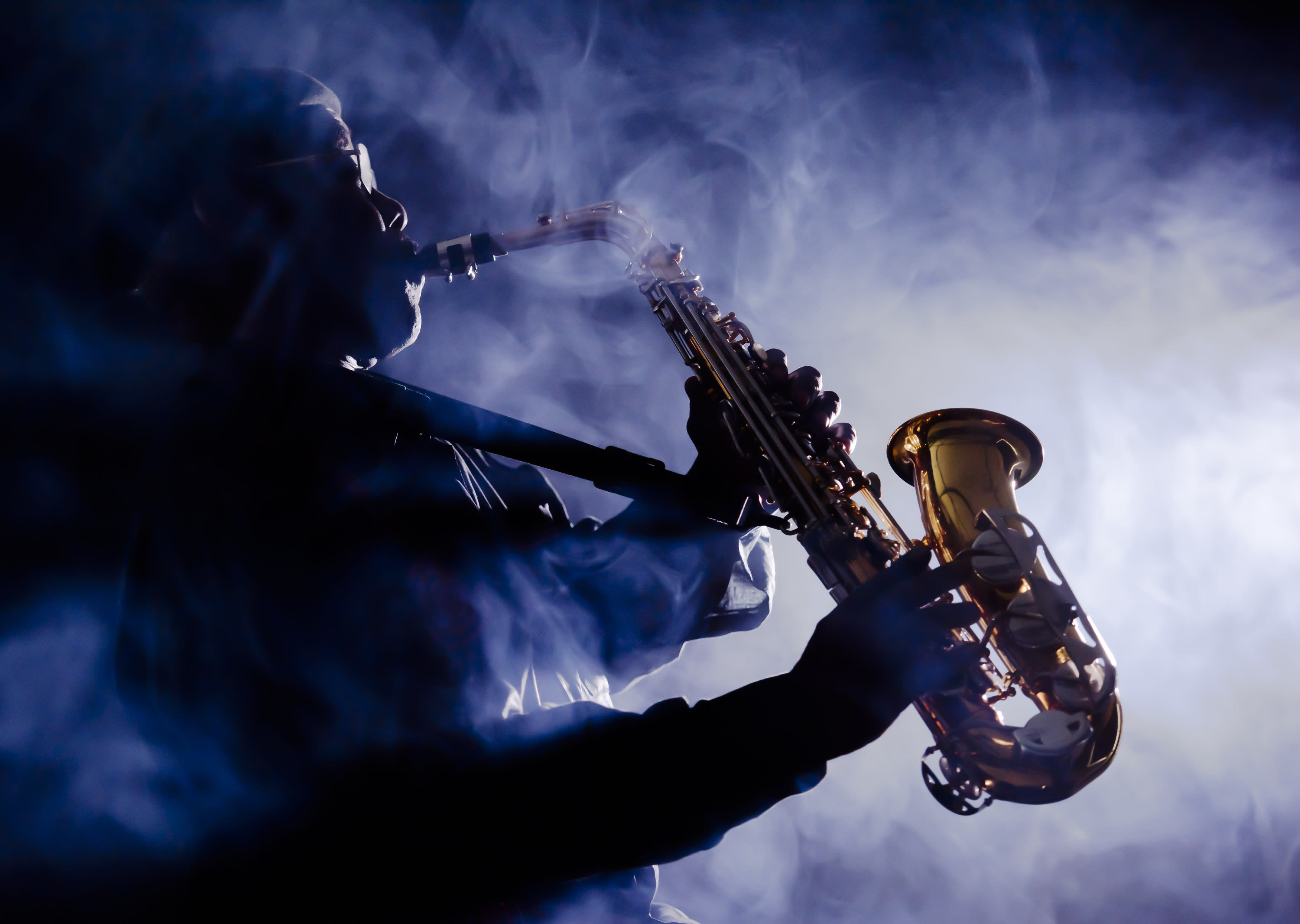 Image of Concert, Crowd, Person, Adult, Male, Man, Musical Instrument, Saxophone, 