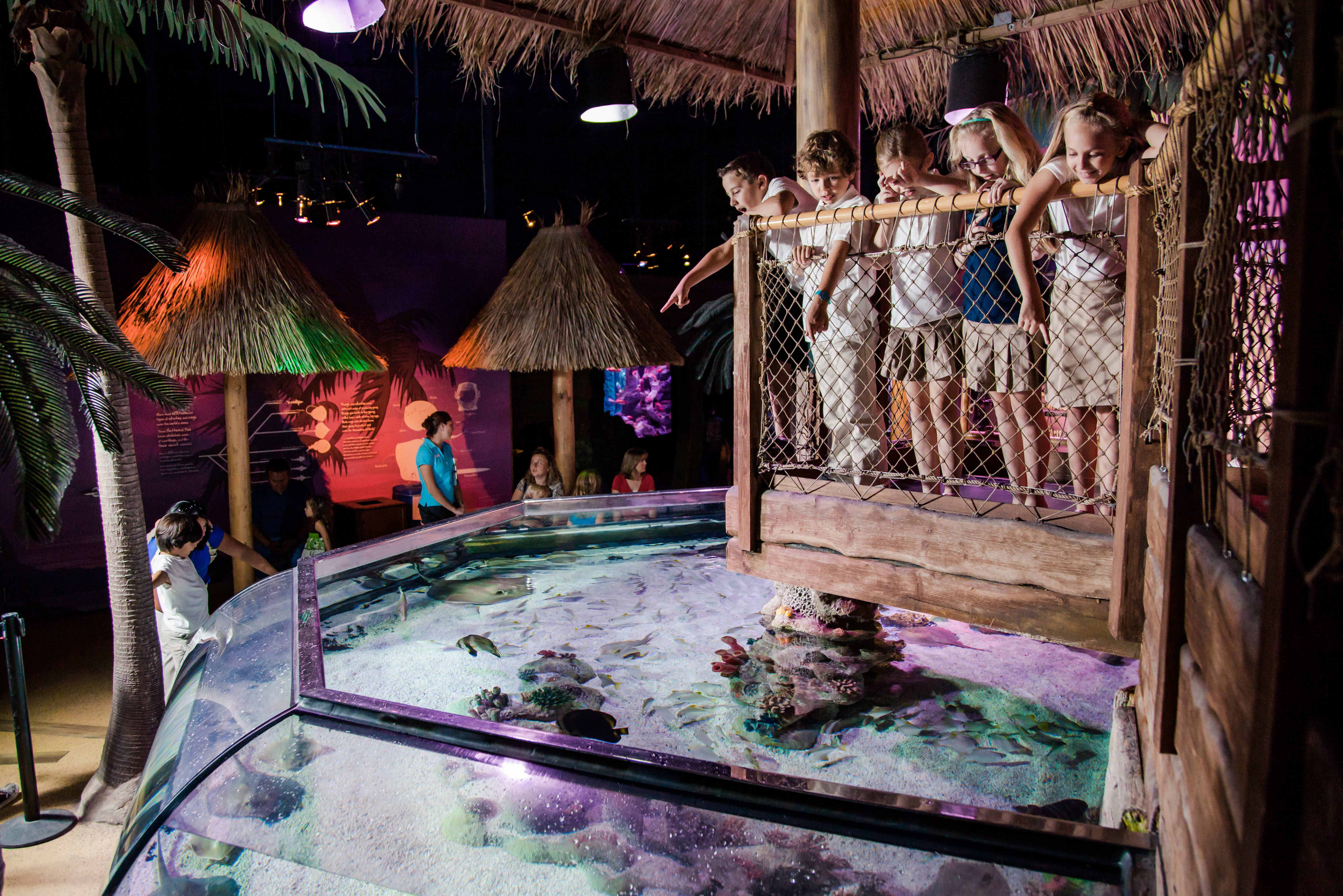 Image of Hotel, Resort, Child, Female, Girl, Person, Boy, Male, Teen, Water,