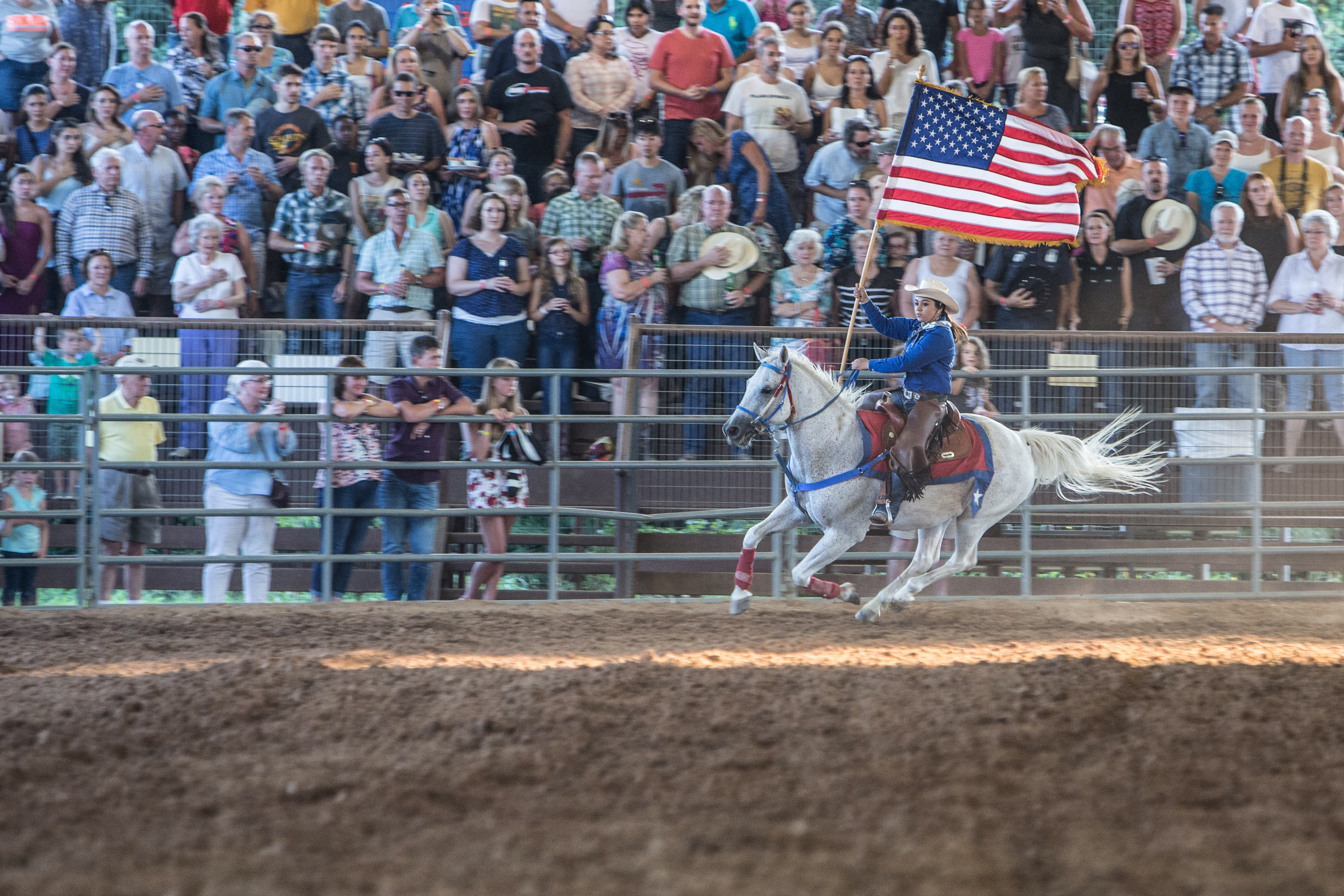 Image of Rodeo, Person, Animal, Horse, Mammal, Equestrian, 