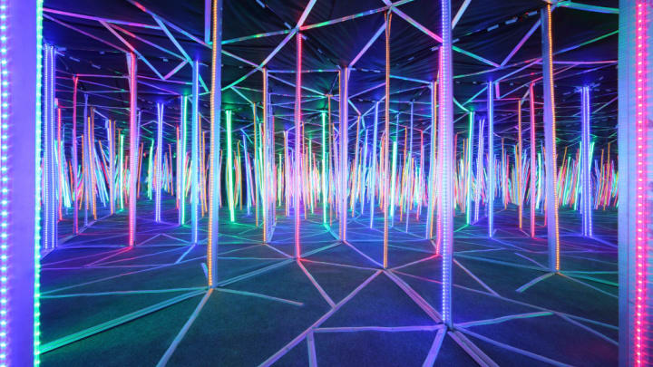 Image of Light, Lighting, Neon, 