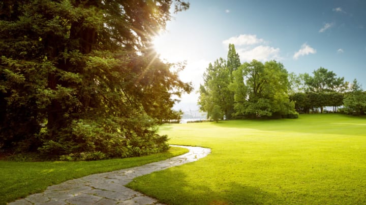 Image of Grass, Field, Nature, Outdoors, Park, Lawn, Scenery, Path, 