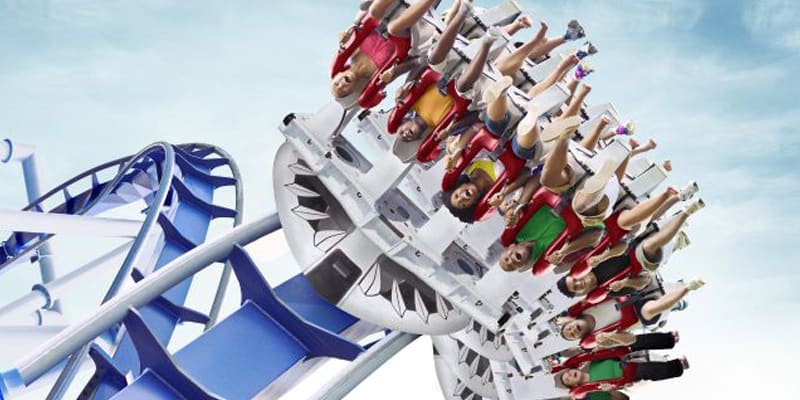 Image of Amusement Park, Fun, Roller Coaster, Adult, Female, Person, Woman, 