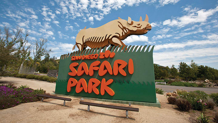 Image of Animal, Zoo, Bench, Furniture, Grass, Nature, Outdoors, Park,