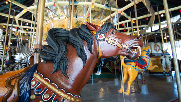 Image of Play, Amusement Park, Animal, Horse, Mammal, Carousel, Fun, Theme Park, 