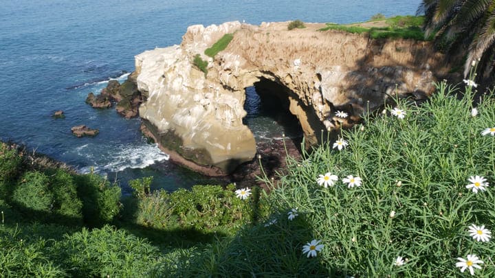 Image of Cave, Coast, Cove, Nature, Outdoors, Sea, Shoreline, Water, Rock, Land, Landscape, Scenery, Vegetation, Grass, Shelter, Daisy, Flower, Green, Herbal, Herbs, Cliff, 