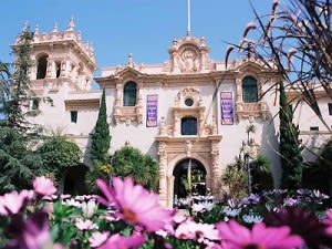 Image of House, Housing, Villa, Hacienda, Flower, Potted Plant, 