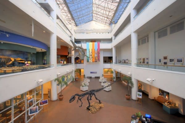 Image of Indoors, Museum, Plant, Shop, Shopping Mall, Dinosaur, Window, 