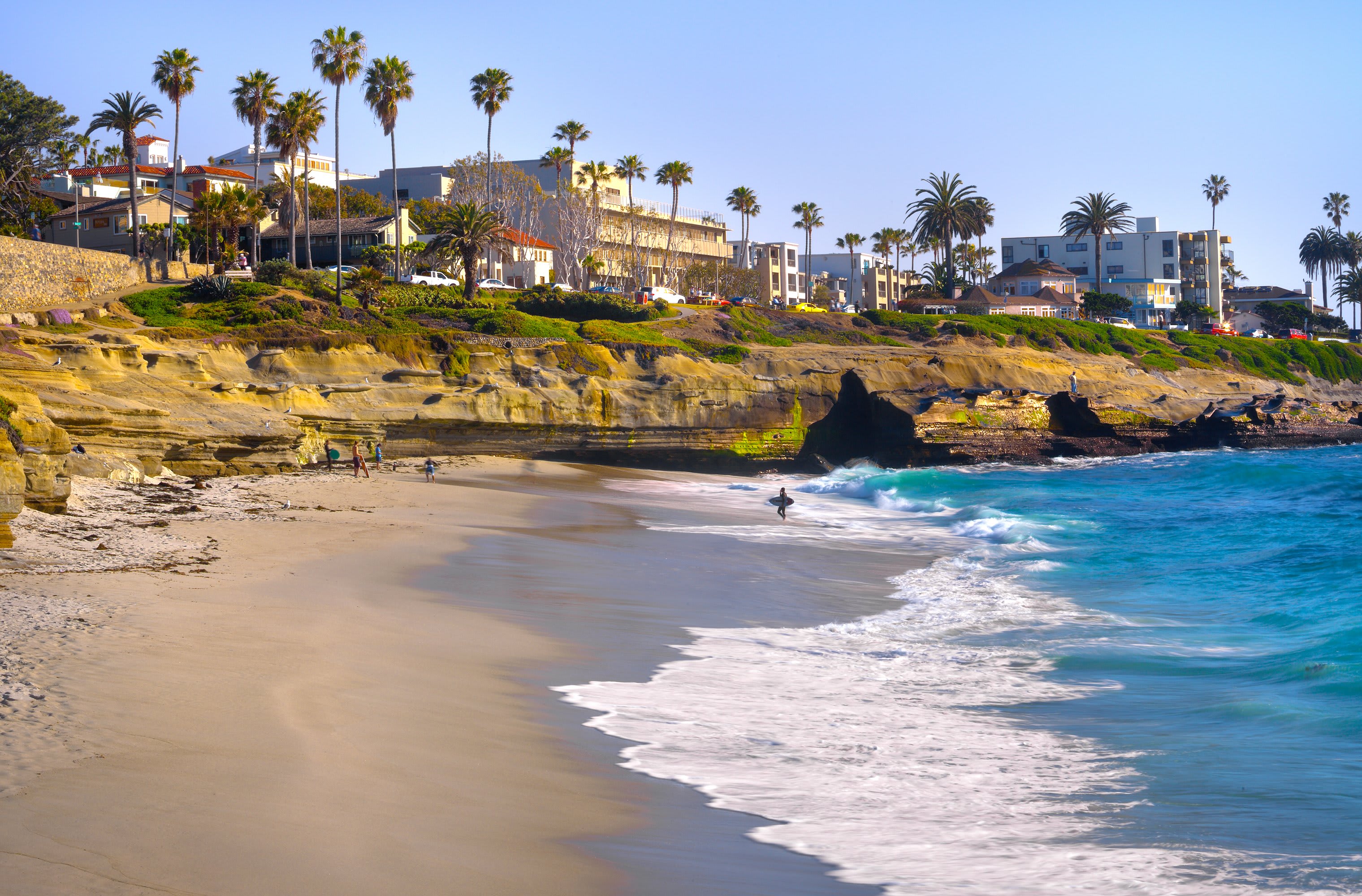 Image of Summer, Beach, Coast, Nature, Outdoors, Sea, Shoreline, Water, Palm Tree, Tree, Landscape, Scenery, Person, Car, Waterfront, 