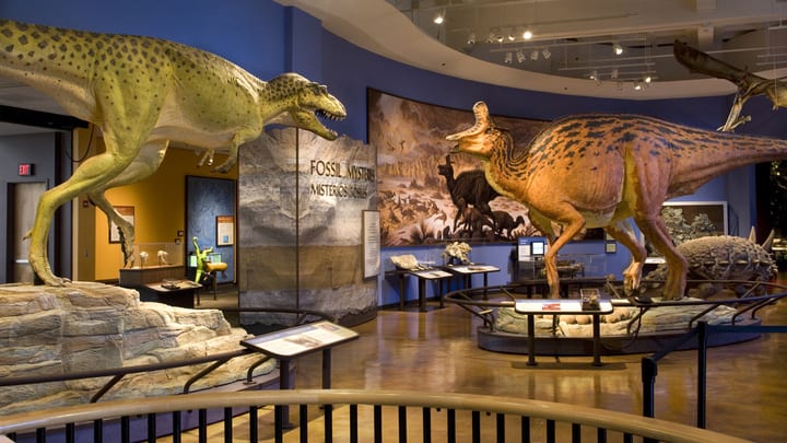 Image of Indoors, Museum, Animal, Dinosaur, 