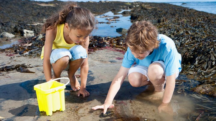 Image of Boy, Child, Male, Person, Female, Girl, Beach, Coast, Nature, Outdoors, Sea, Shoreline, Water, 