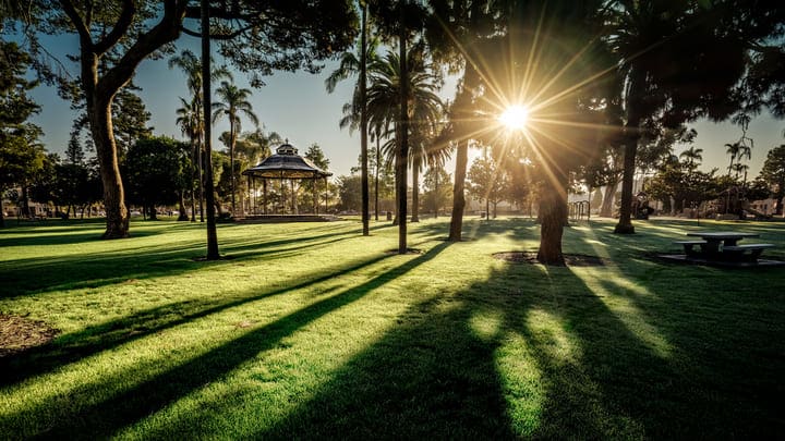 Image of Grass, Nature, Outdoors, Park, Summer, Vegetation, Sunlight, Scenery, Flare, Light, Tree, Sky, Shelter, Lawn, Landscape, Land, Woodland, Grove, 