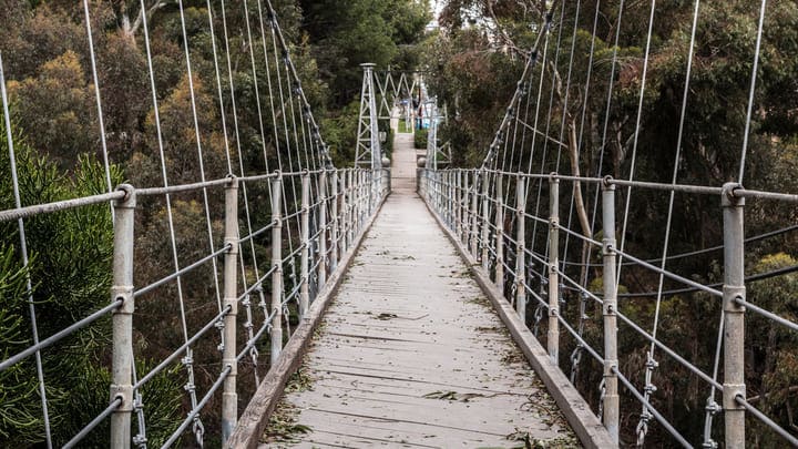 Image of Bridge, Suspension Bridge, Rope Bridge, Vegetation, 