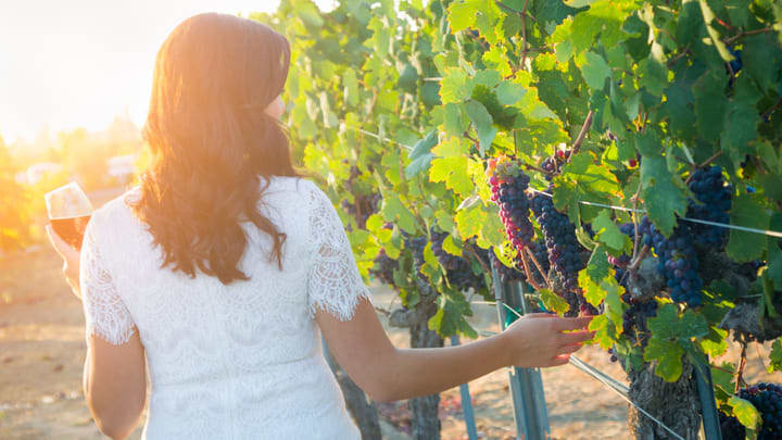 Image of Nature, Outdoors, Countryside, Rural, Farm, Vineyard, Alcohol, Beverage, Wine Tour, Adult, Female, Person, Woman, 