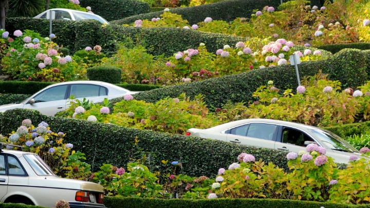 Image of Garden, Nature, Outdoors, Fence, Hedge, Car, Vehicle, Person, Vegetation,