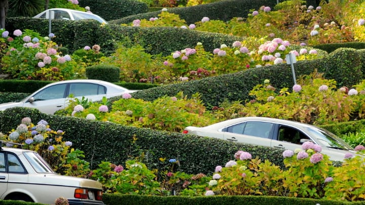 Image of Garden, Nature, Outdoors, Fence, Hedge, Car, Vehicle, Person, Vegetation, 