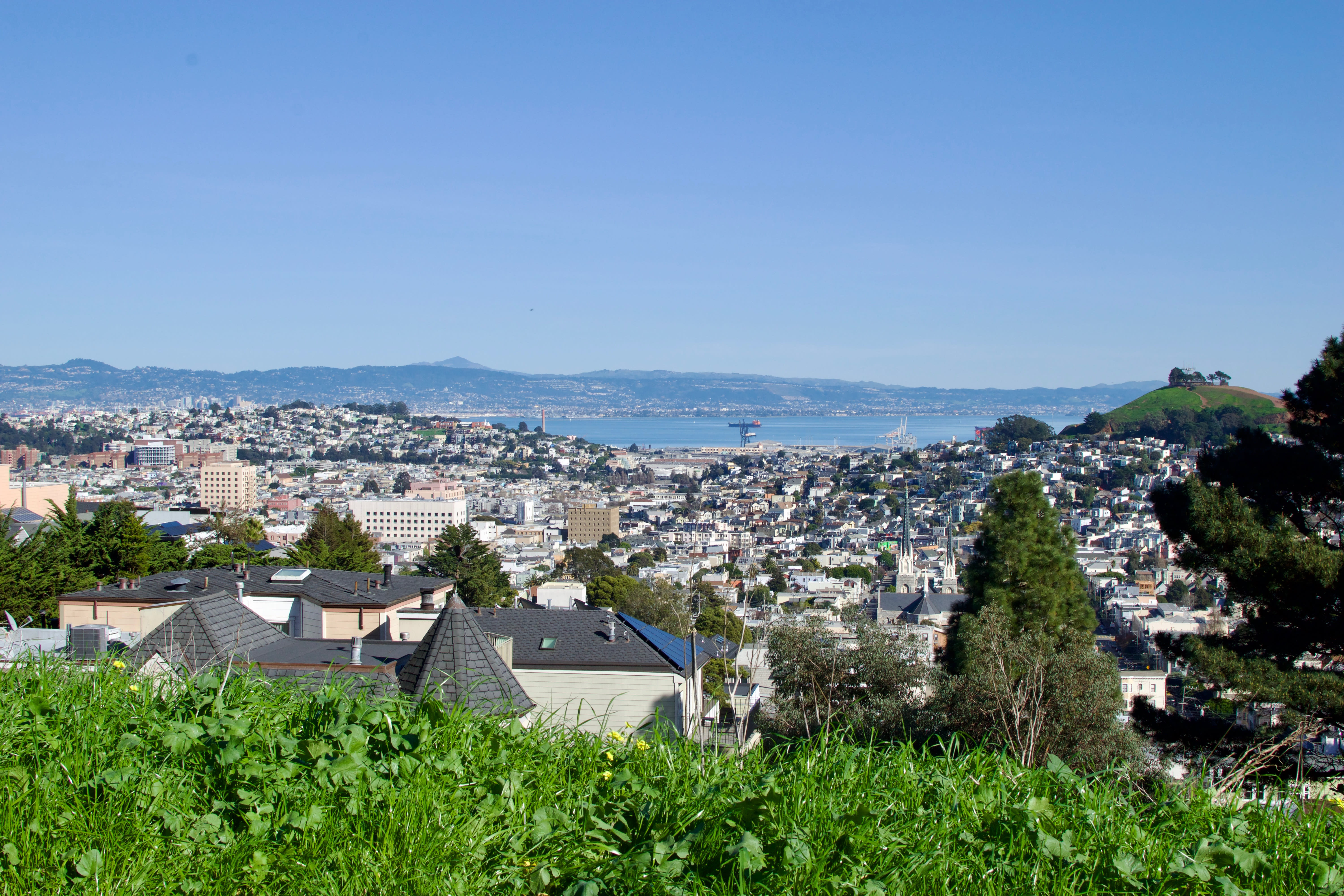 Image of Neighborhood, Building, Cityscape, Urban, House, Housing, Roof, City, Nature, Outdoors, Scenery, Fir, Tree, 