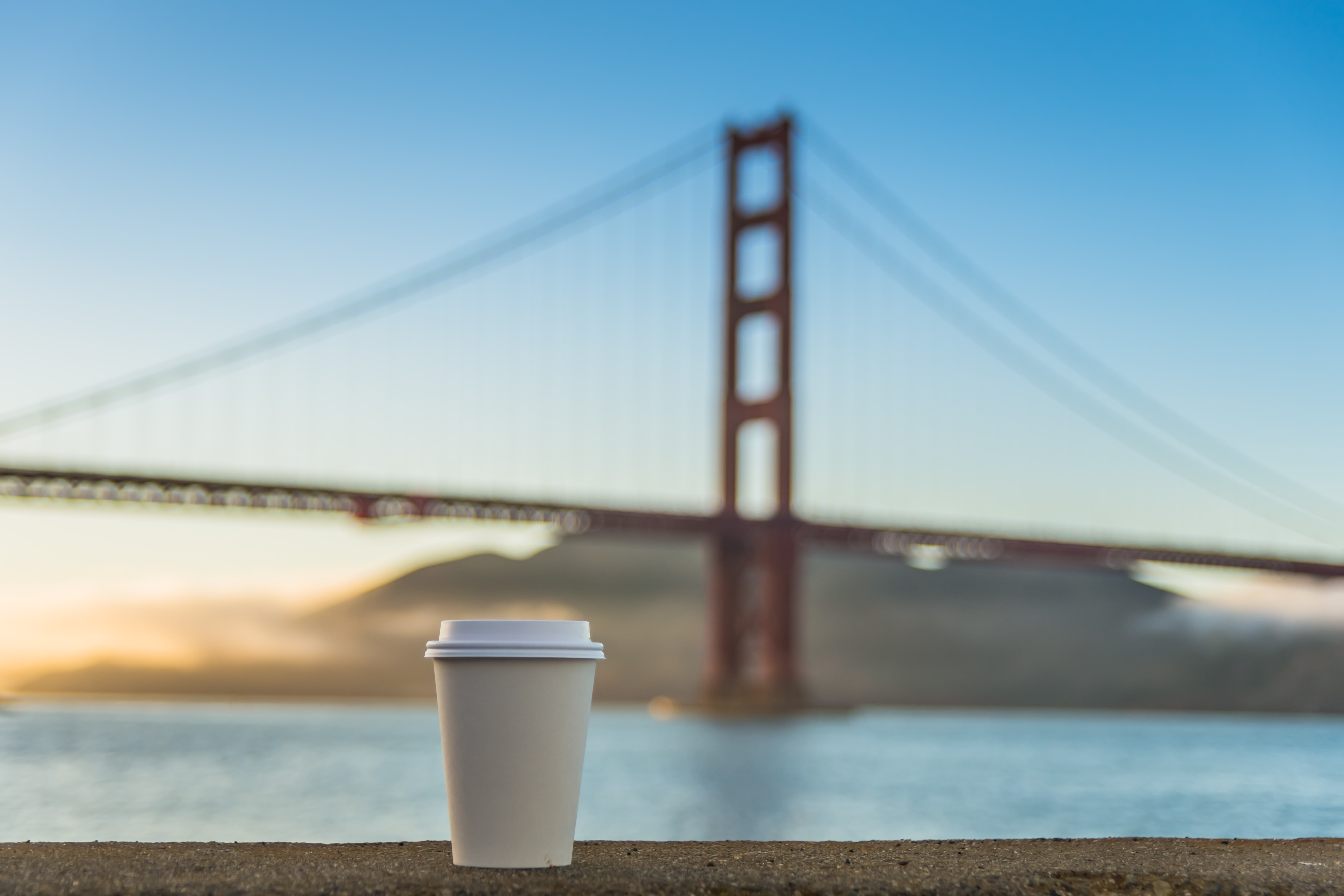 Image of Cup, Disposable Cup,