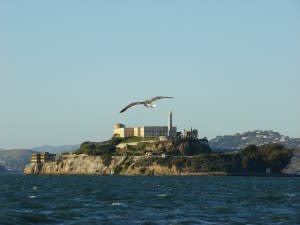 Image of Animal, Bird, Tower, Beacon, Lighthouse, 