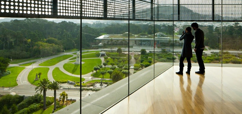 Image of Person, Walking, Office Building, Campus, Grass, 