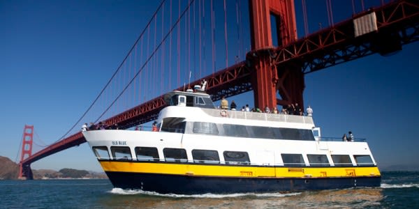 Image of Boat, Ferry, Vehicle, Person, Yacht, 