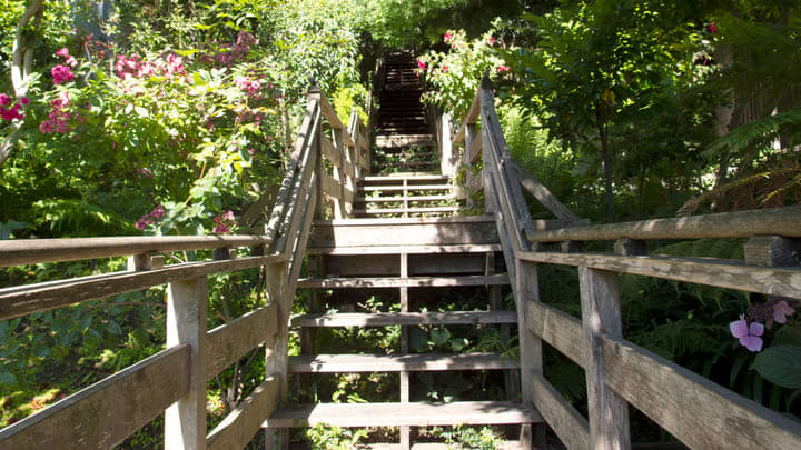 Image of Arbour, Garden, Nature, Outdoors, Path, Walkway, Grass, Park, Vegetation, Handrail, House, Housing, Staircase, Herbal, Herbs, Porch,