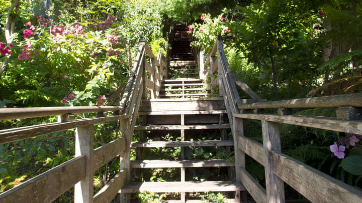 Image of Arbour, Garden, Nature, Outdoors, Path, Walkway, Grass, Park, Vegetation, Handrail, House, Housing, Staircase, Herbal, Herbs, Porch, 