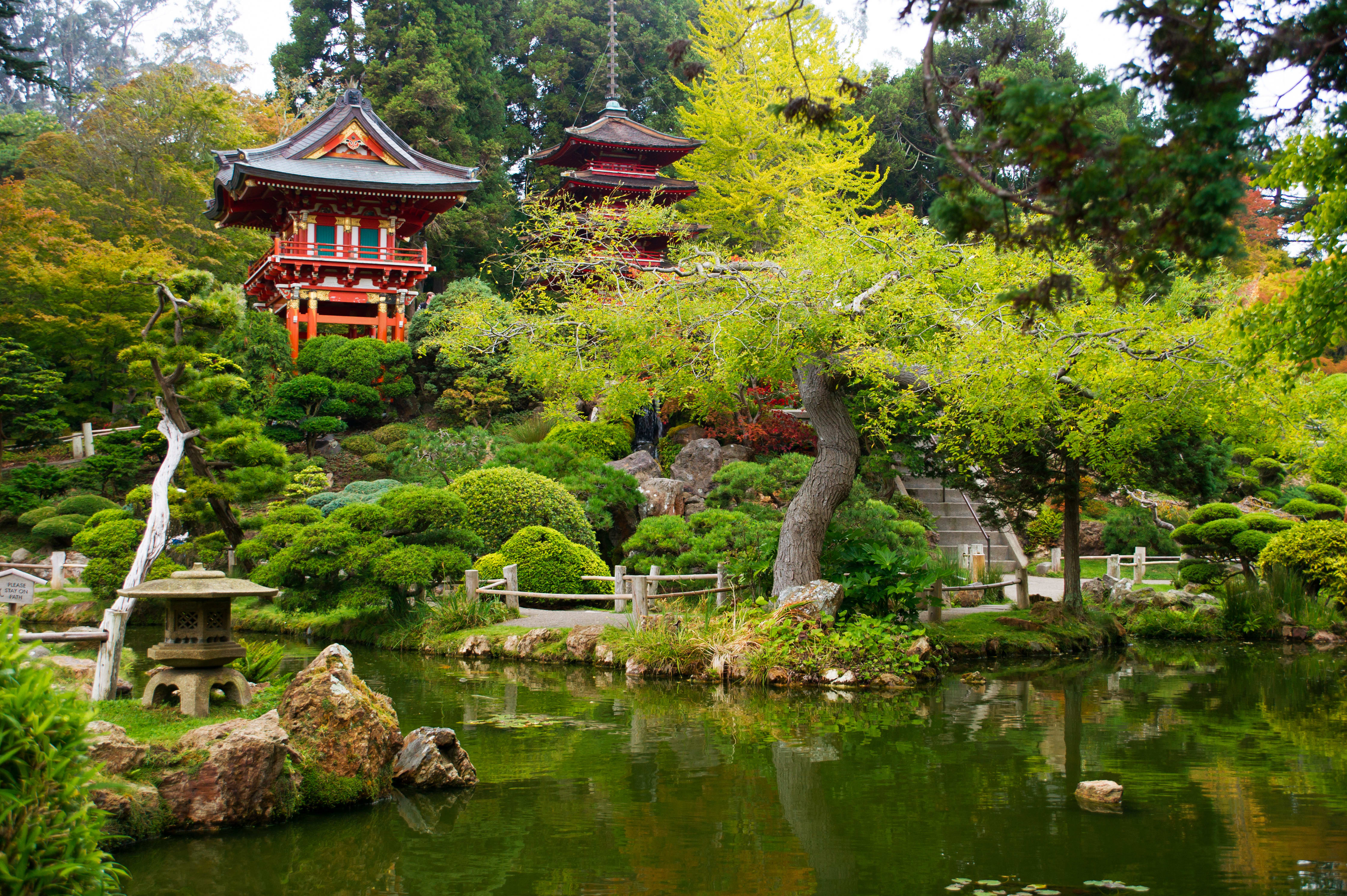 Image of Nature, Outdoors, Pond, Water, Garden, Prayer, Shrine, Temple, Pagoda, 