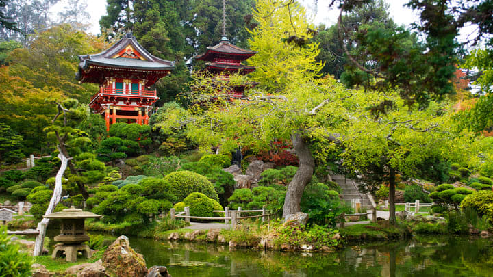 Image of Nature, Outdoors, Pond, Water, Garden, Scenery, Prayer, Shrine, Temple, Pagoda, 