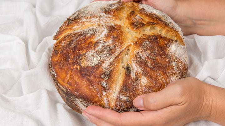 Image of Bread, Food, Bun,