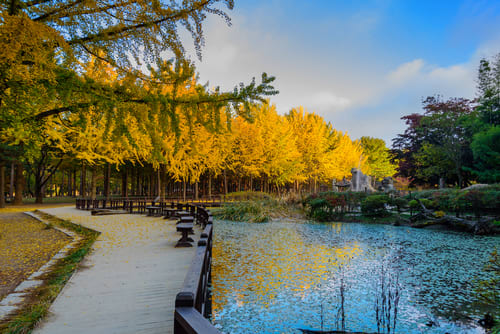 Image of Water, Waterfront, Nature, Outdoors, Scenery, Canal, Tree, Boardwalk, Bridge, Pond, Path, Walkway, 