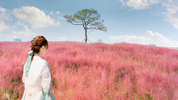 Image of Child, Female, Girl, Person, Landscape, Nature, Outdoors, Scenery, 