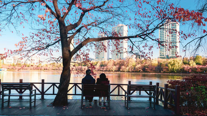 Image of Nature, Outdoors, Scenery, City, Bench, Furniture, Urban, Person, Grass, Park, 