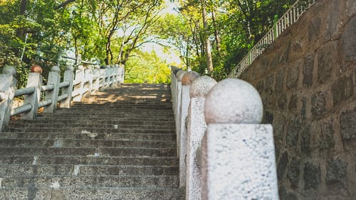 Image of Handrail, Path, Walkway, Wall, Railing, Outdoors, Nature, House, Housing, Staircase, Garden, 