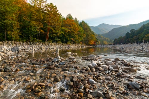 Image of Rock, Pebble, Nature, Outdoors, Stream, Water, Scenery, Vegetation, Wilderness, Creek, 