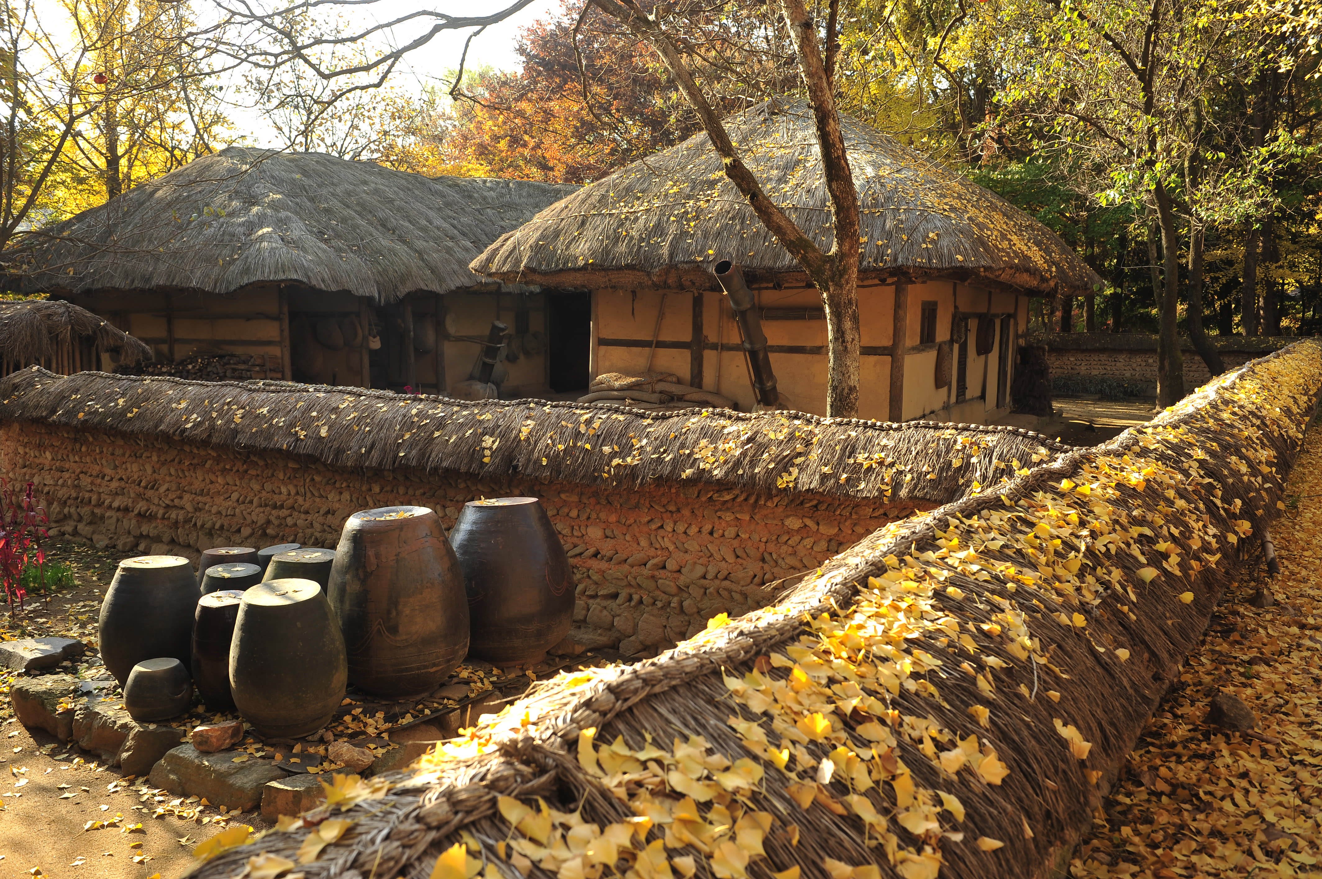 Image of Nature, Outdoors, Countryside, Hut, Rural, Village, 