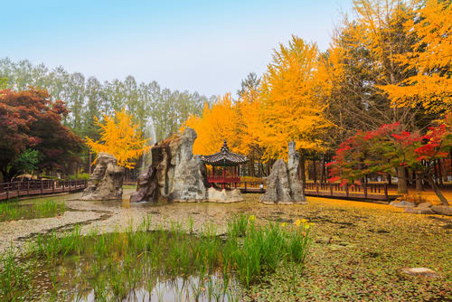 Image of Autumn, Leaf, Tree, 