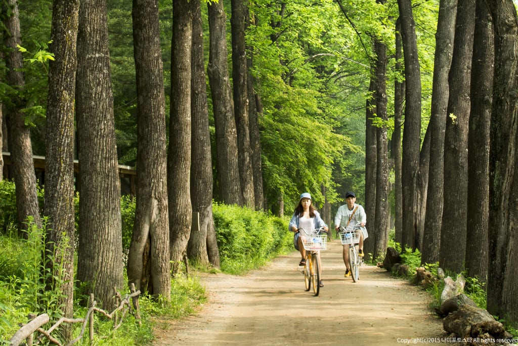 Image of Path, Nature, Outdoors, Trail, Grove, Land, Tree, Vegetation, Woodland, Person, Walking, Bicycle, Vehicle, Grass, Park, 