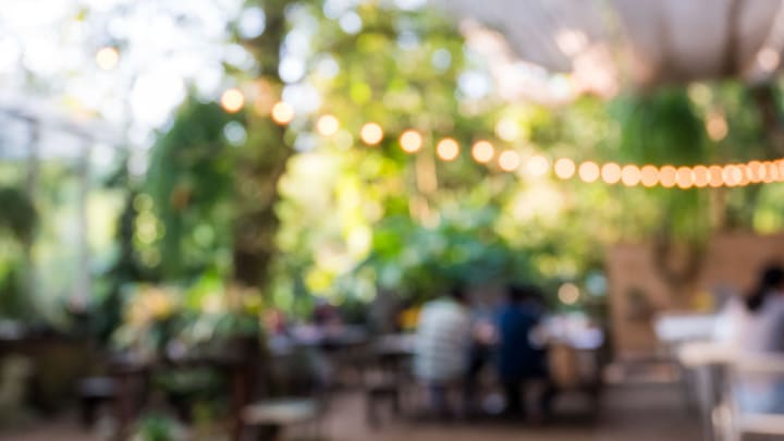 Image of Indoors, Restaurant, Lighting, Cafe, Cafeteria, Potted Plant, Dining Table, Furniture, Table, Person, 