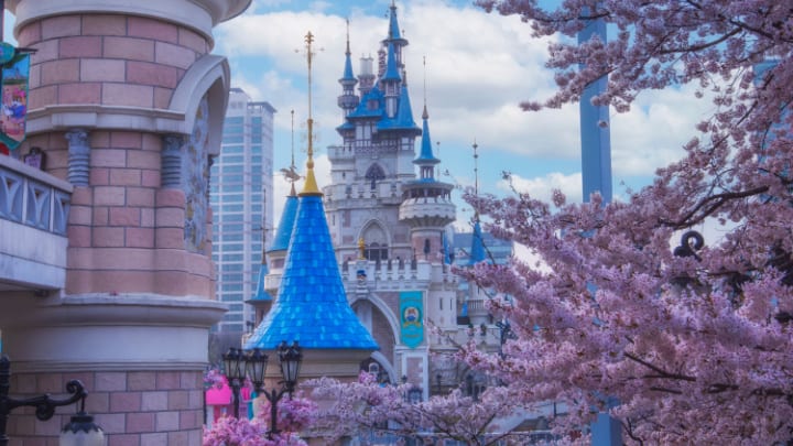 Image of Spire, Tower, City, Purple, Flower, 