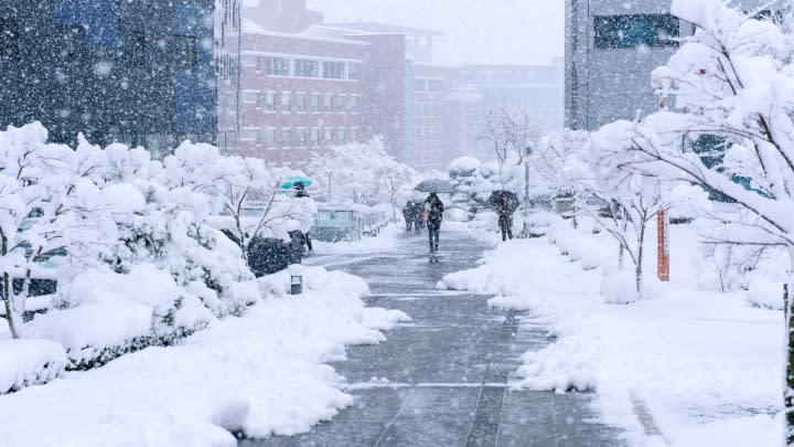 Image of Nature, Outdoors, Person, Winter, Blizzard, Snow, Storm, 