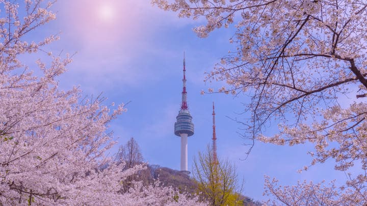 Image of Tower, Landmark, N Seoul Tower, 