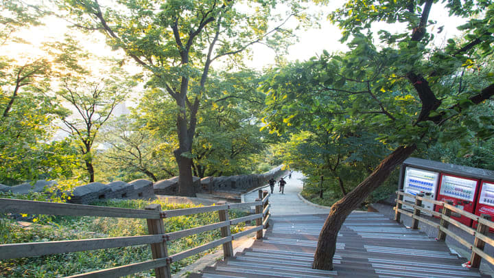 Image of Grass, Nature, Outdoors, Park, Boardwalk, Bridge, Garden, Path, Walkway, Tree, Scenery, Arbour, Vegetation, Wood, Trail, Person, Land, Woodland, 